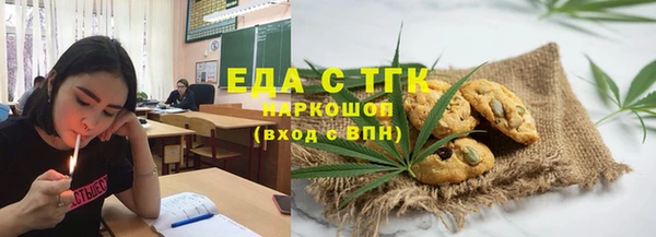 шишки Белокуриха