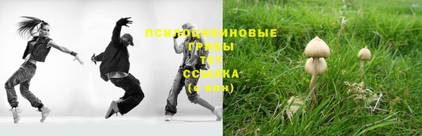 прущие грибы Белоозёрский