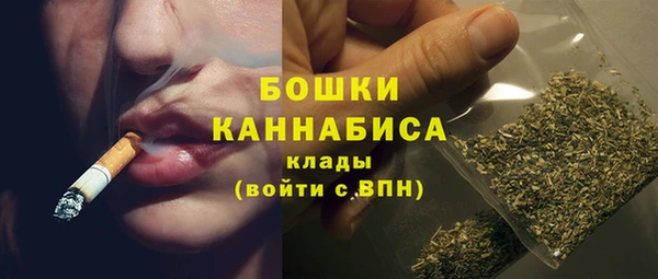 шишки Белокуриха
