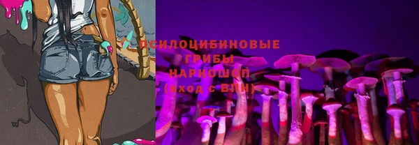 гидра Баксан