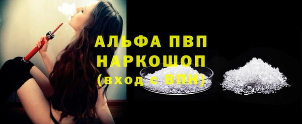 шишки Белокуриха