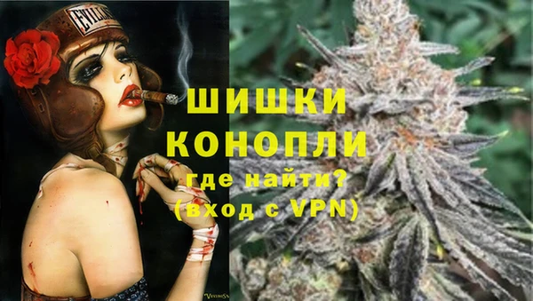 прущие грибы Белоозёрский